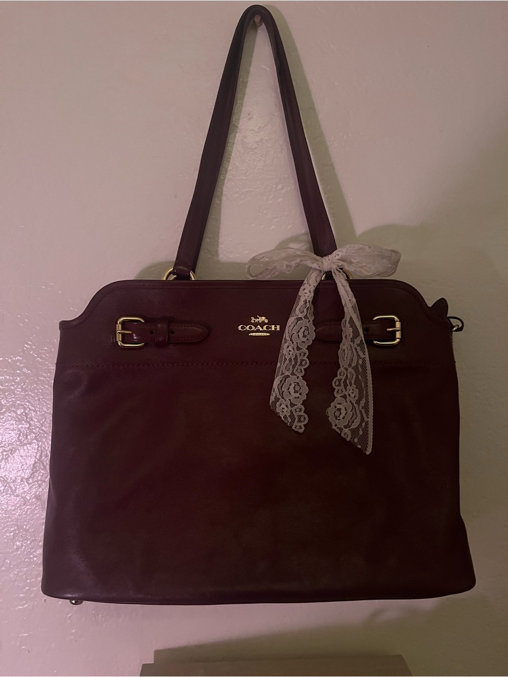 Coach Women's Leather Easton Tote Bag in Dark wine red